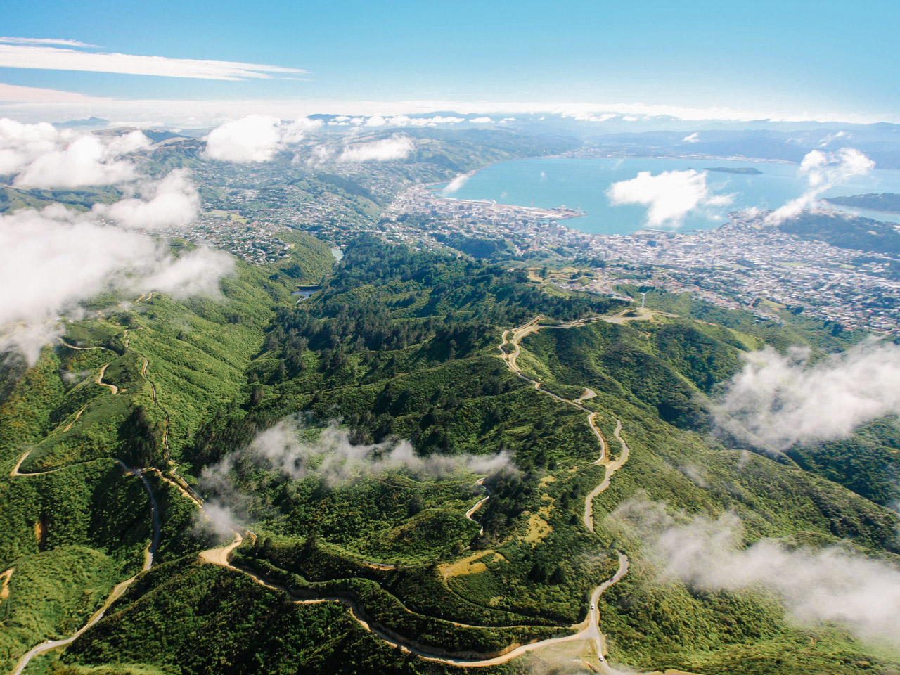Zealandia in the foreground and the City of Wellington in the background